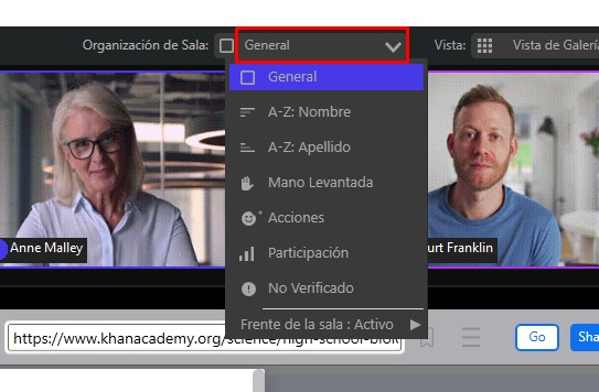 vistas profesor.jpg