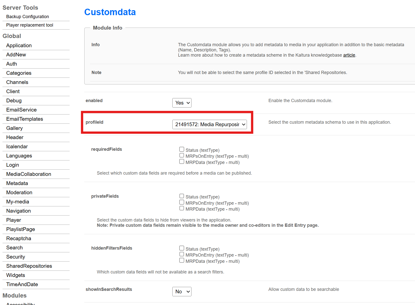 customdata1.png
