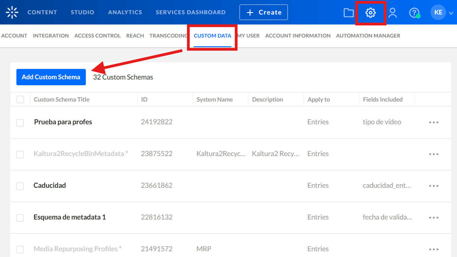 customdata.png